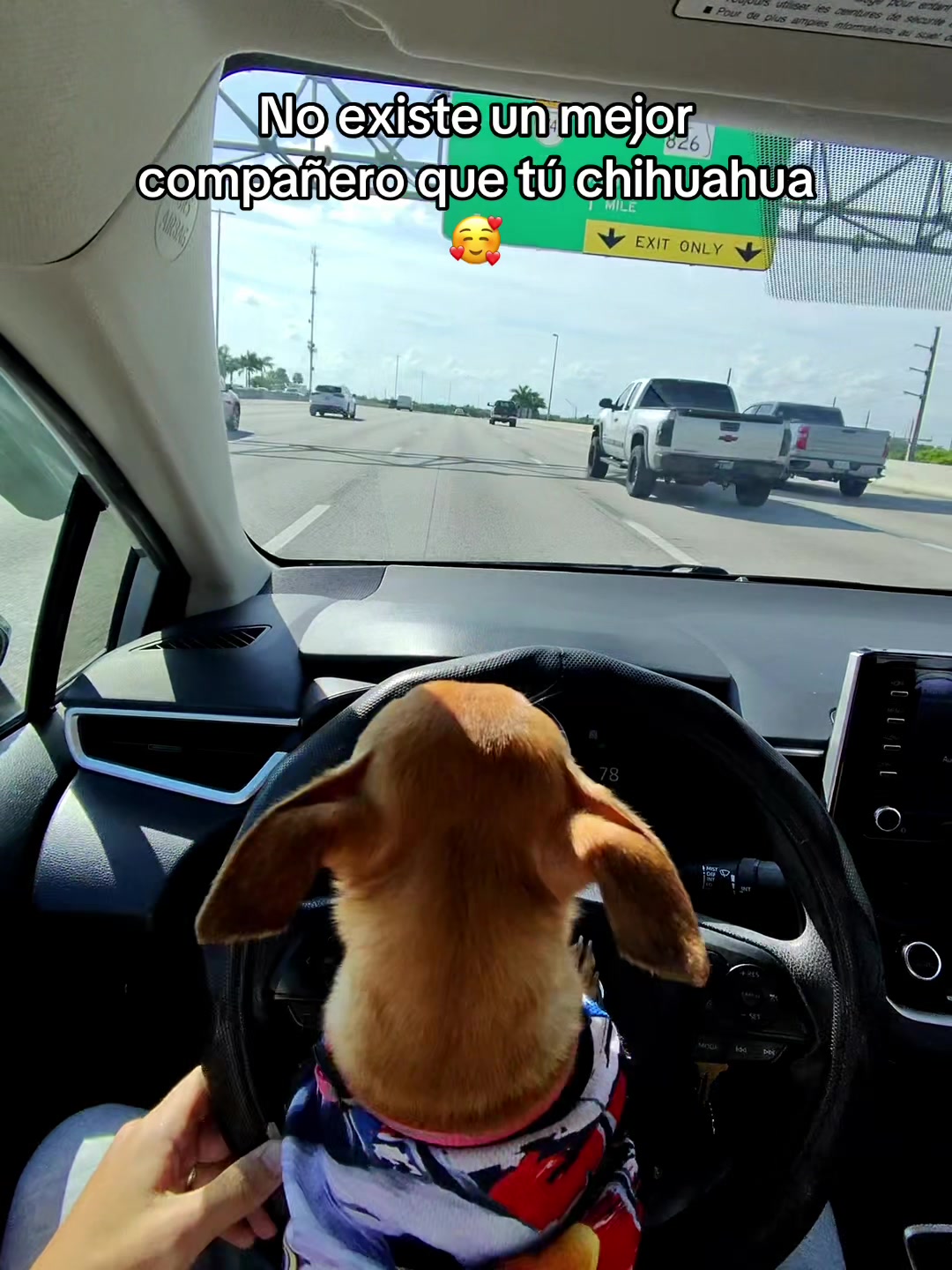 @Gloria Hernandez
