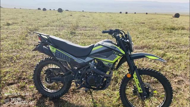 @panther 250