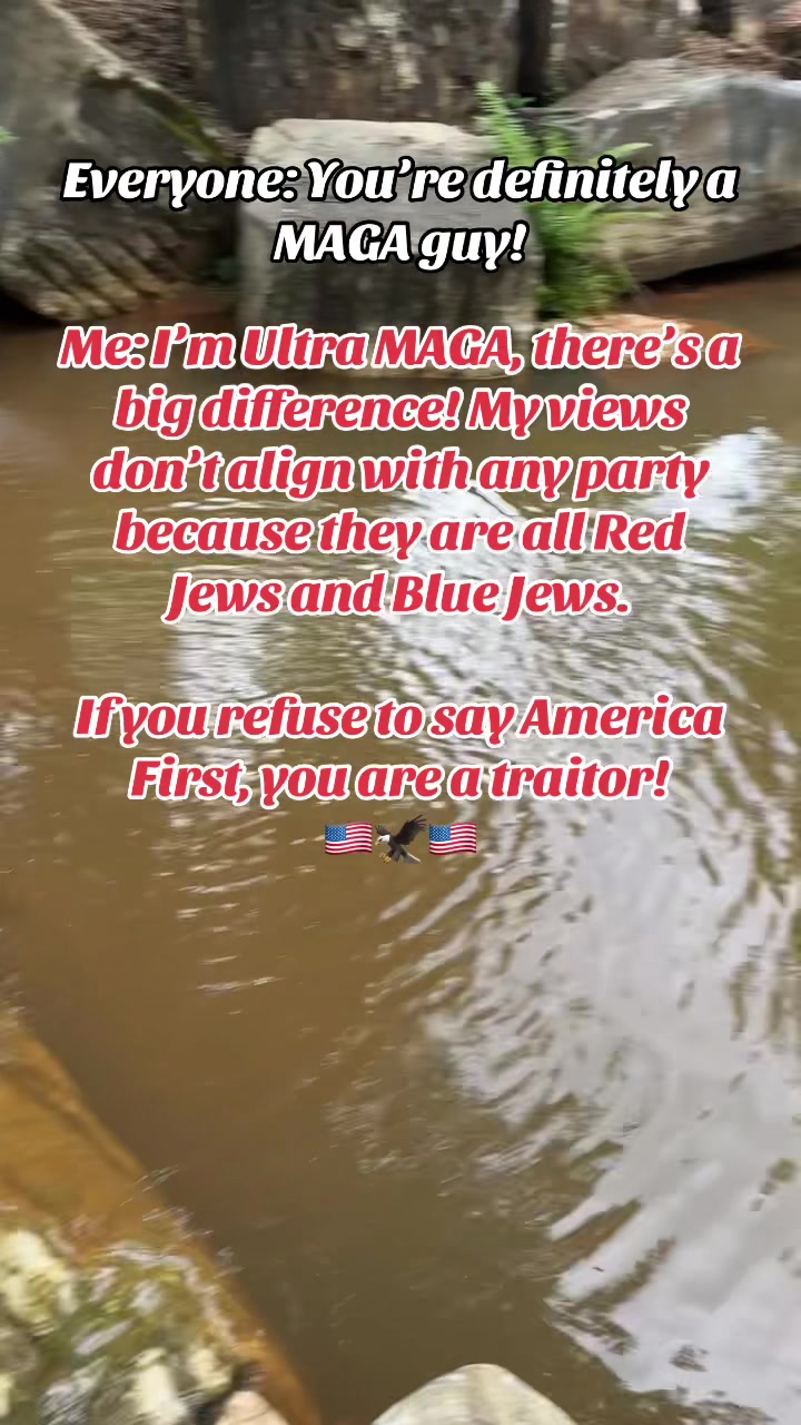 @༺𝔗𝔢𝔞𝔪 𝔄𝔮𝔲𝔞𝔯𝔦𝔲𝔰༻
