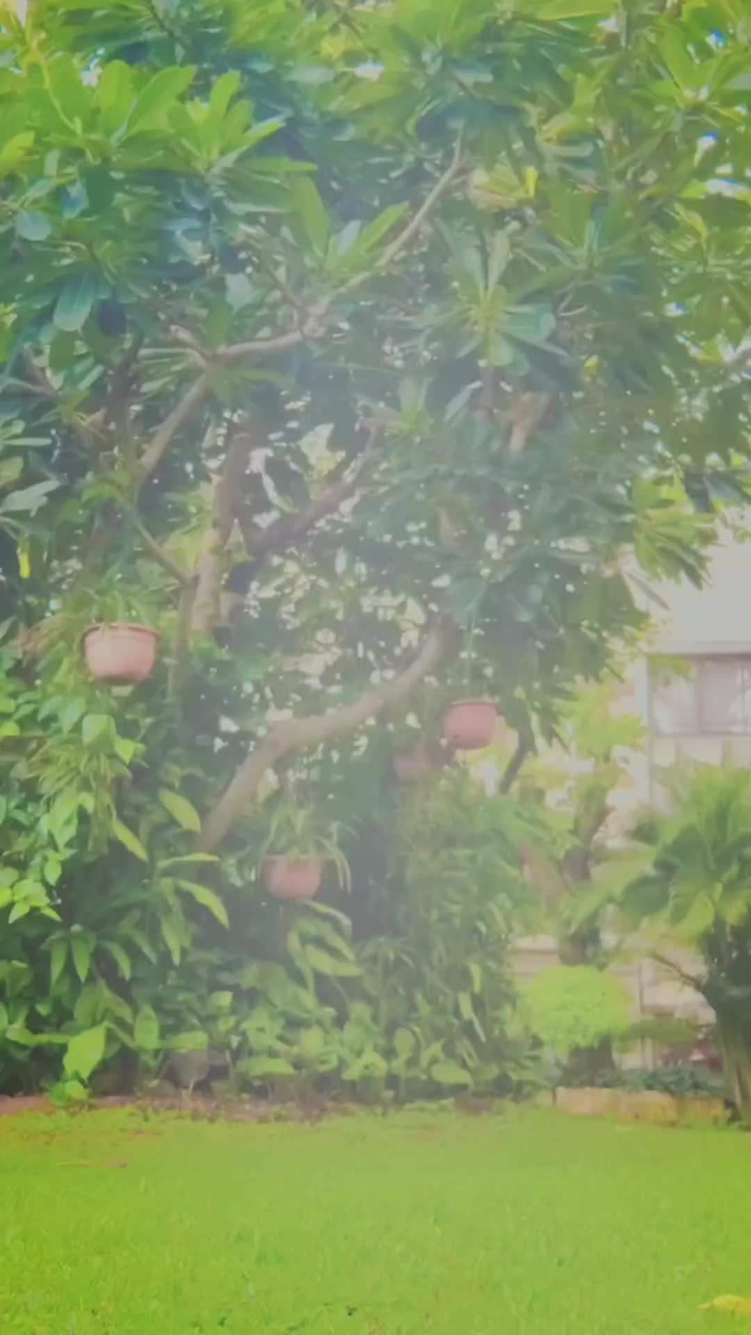 @@지반 파리야르 ------💘