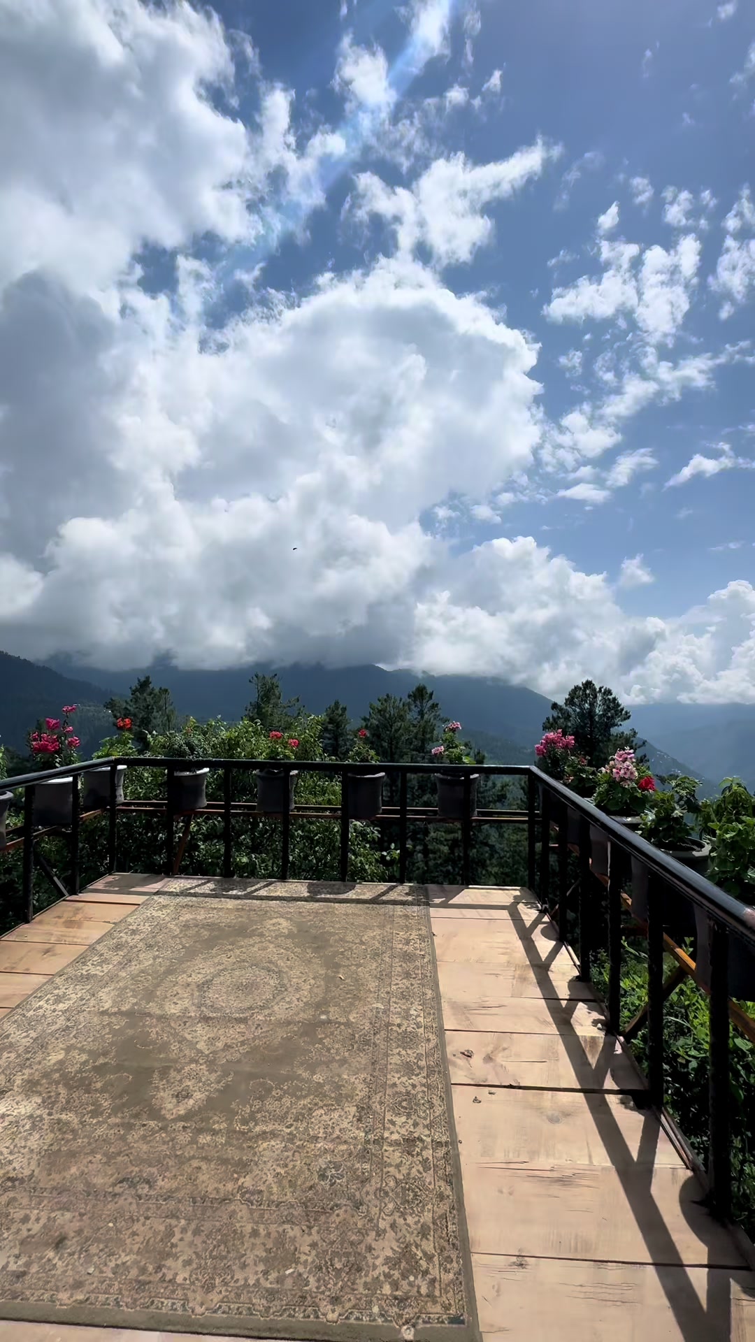 @Shogran Vibes