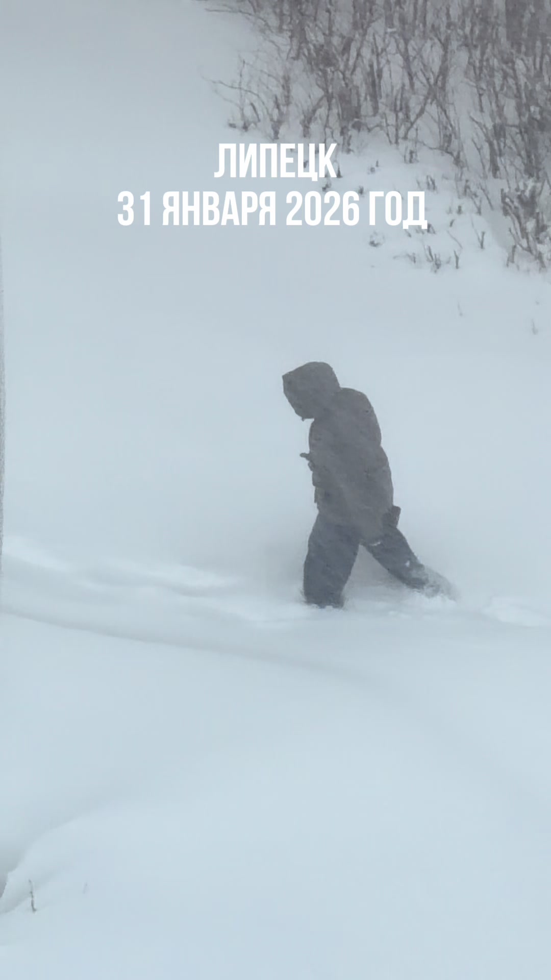 @Лизаветка
