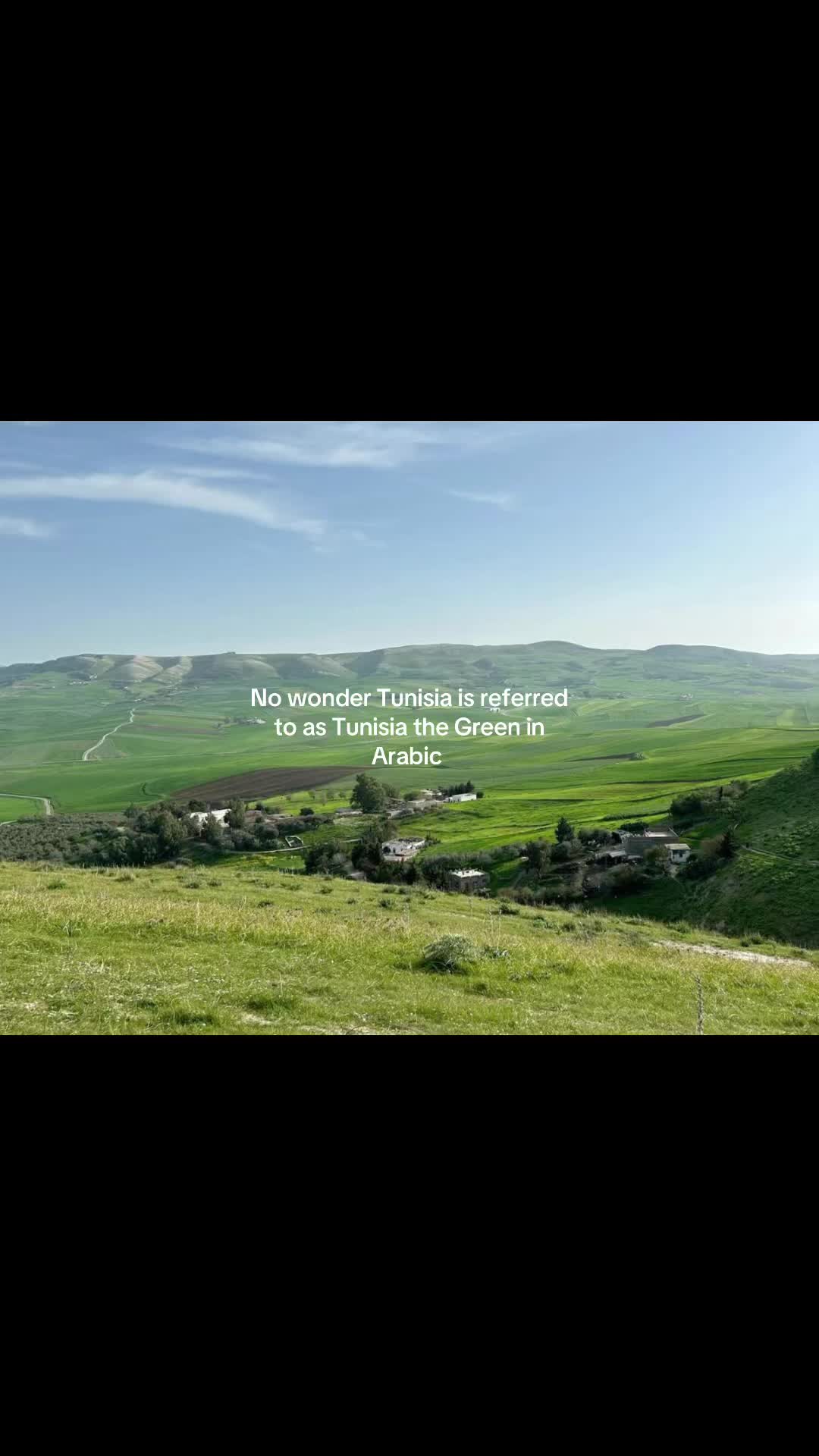 @Hamza 🇹🇳🇵🇸