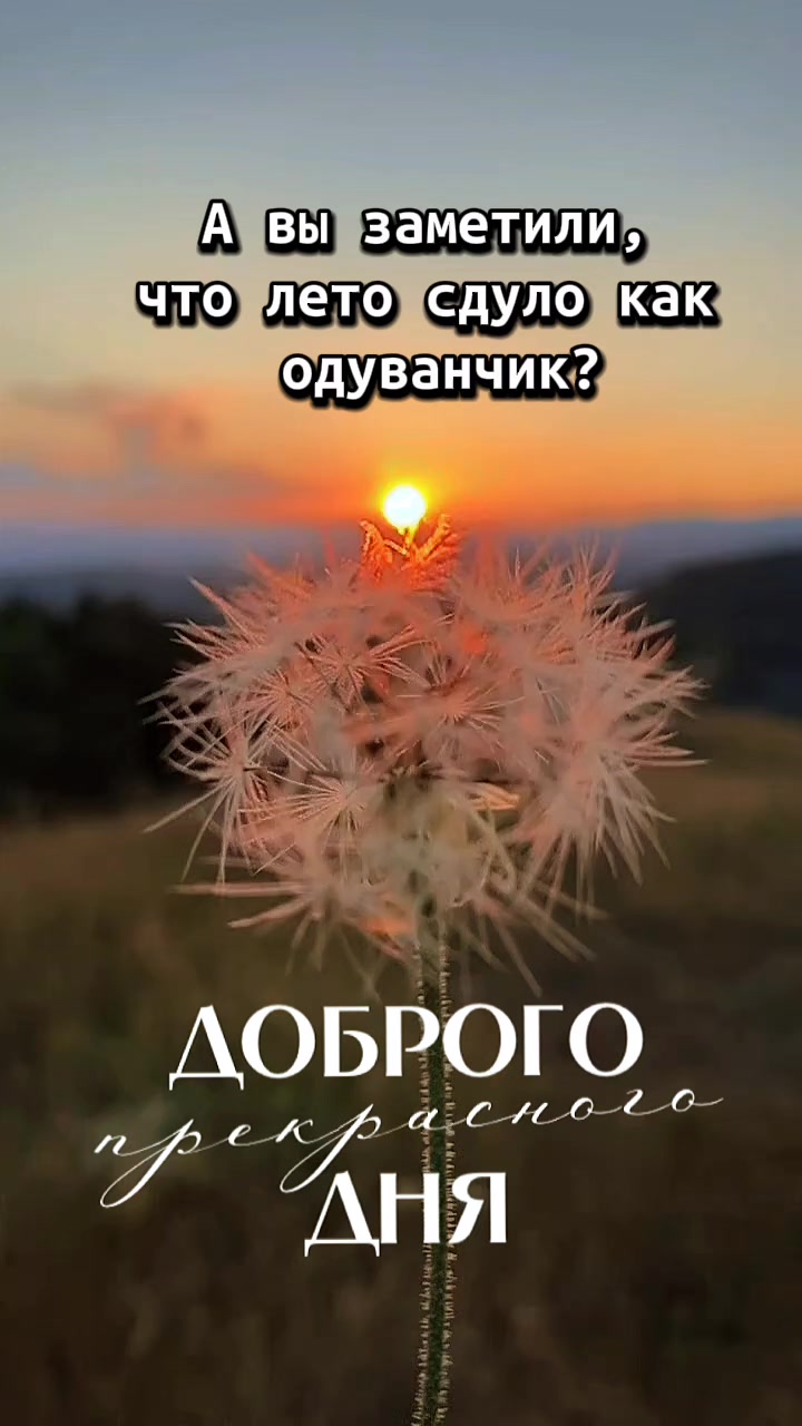 @☆꧁✬◦.𝒱.𝒮𝒽 .✬꧂☆
