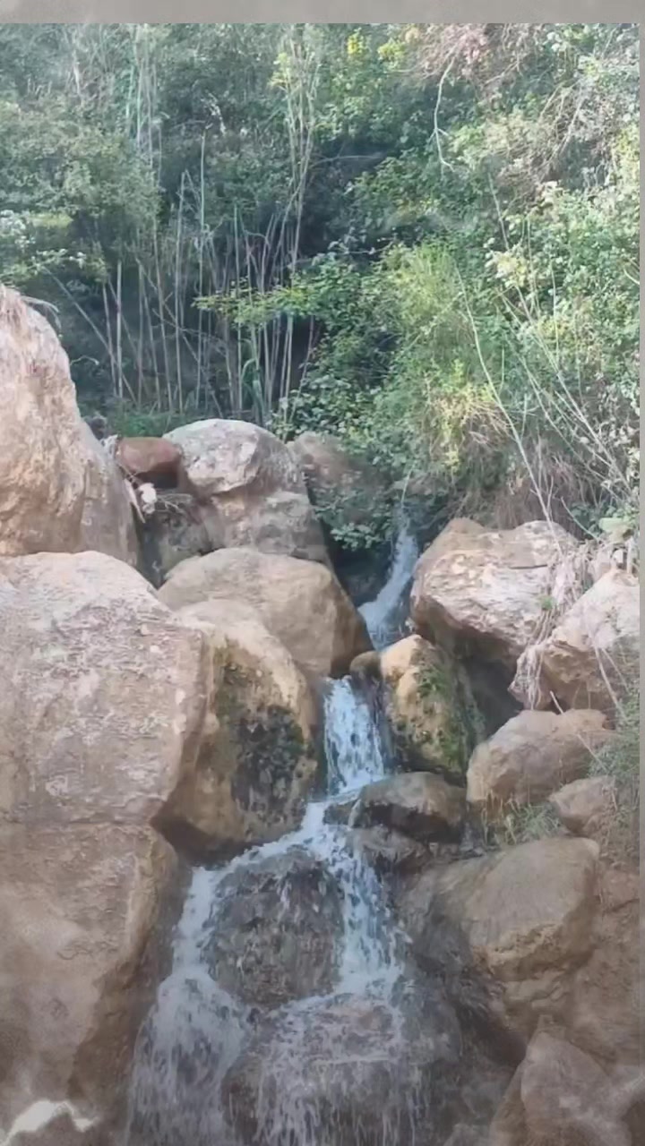 @hayat sensiz güzel
