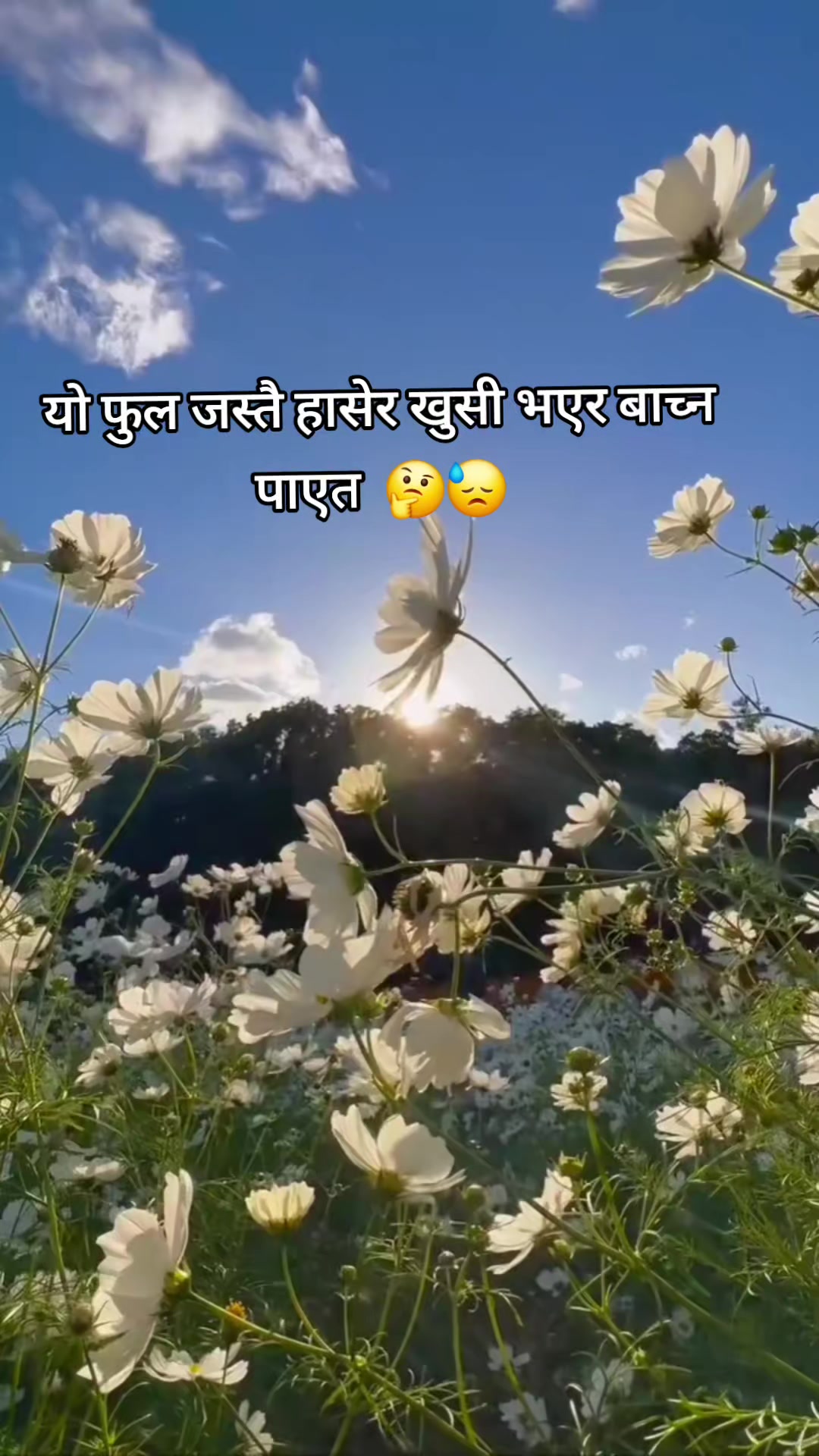@shantipulami143