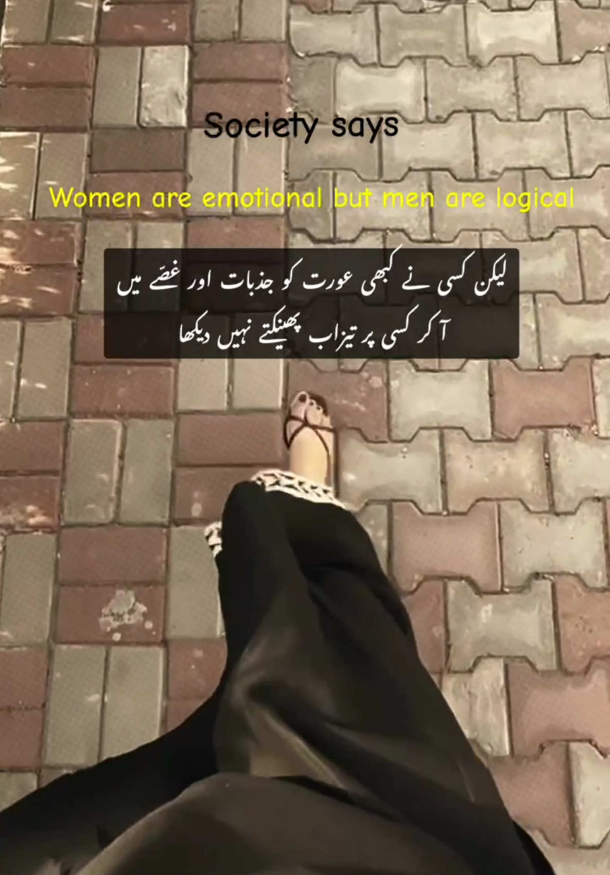@ZH🎀🖇️