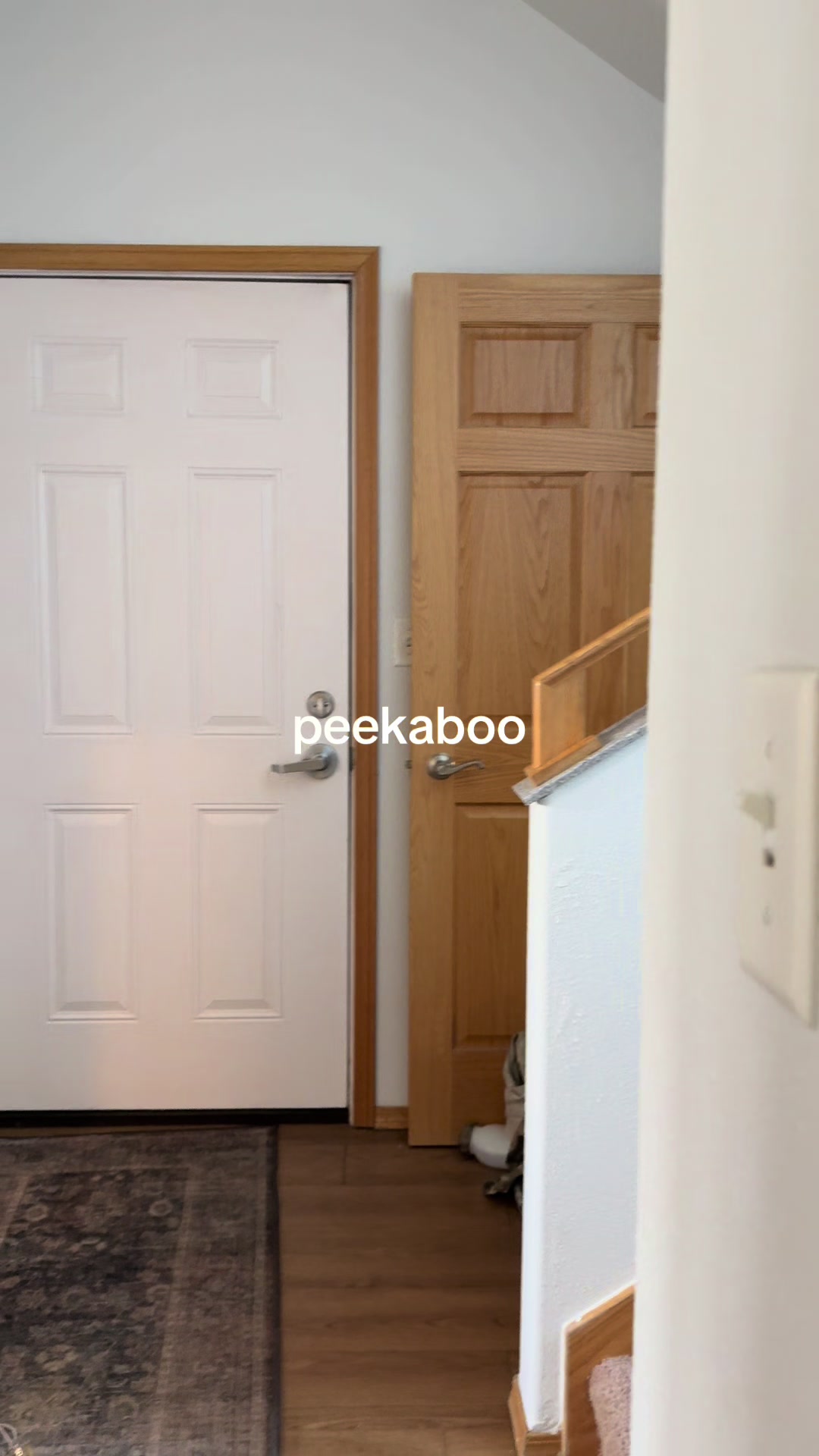 @seorastudio