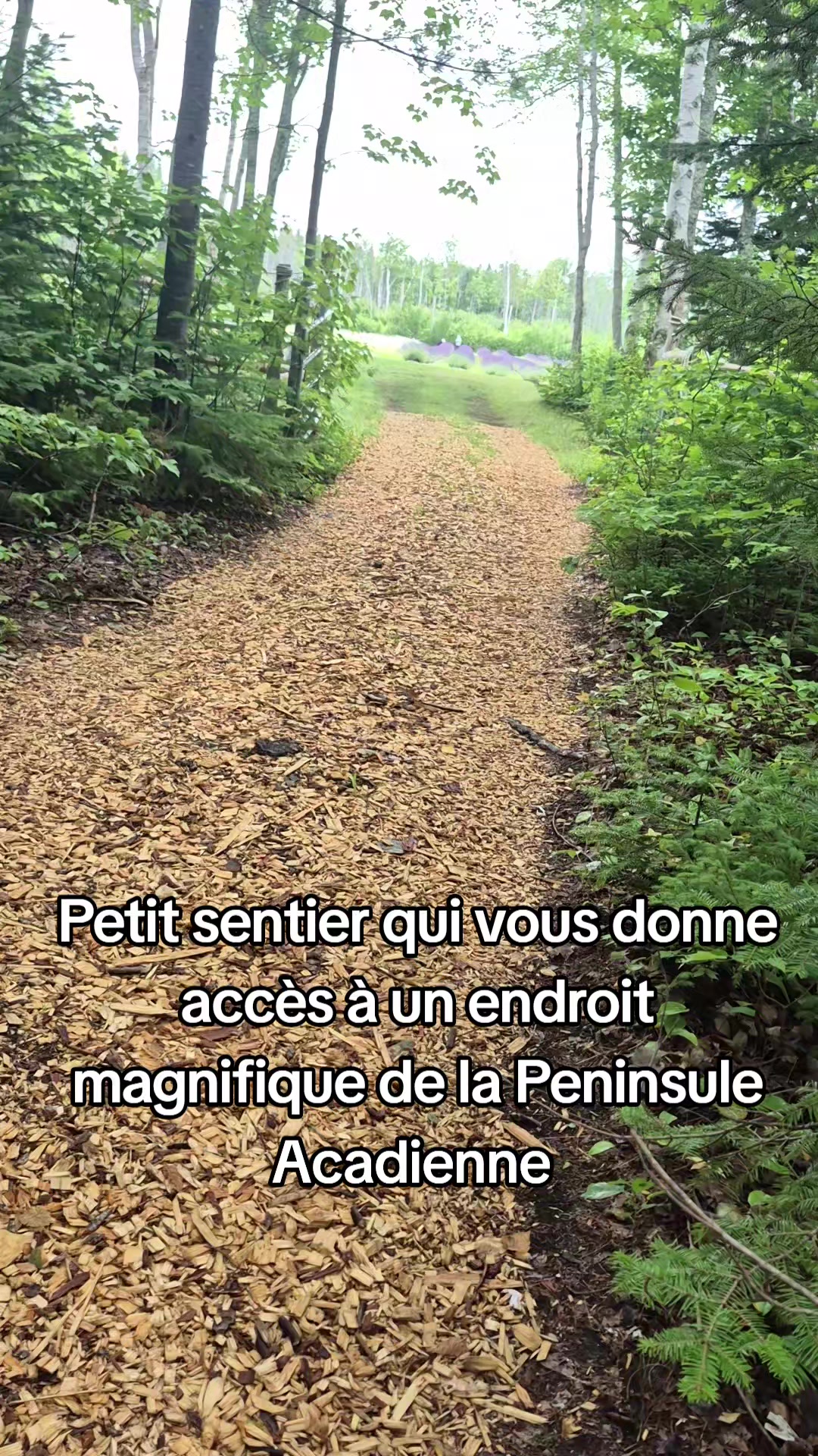 @Nadine💋Acadie