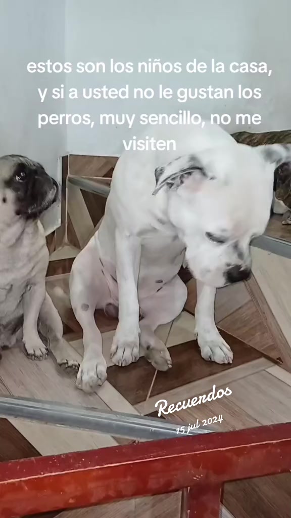 @dulce luna