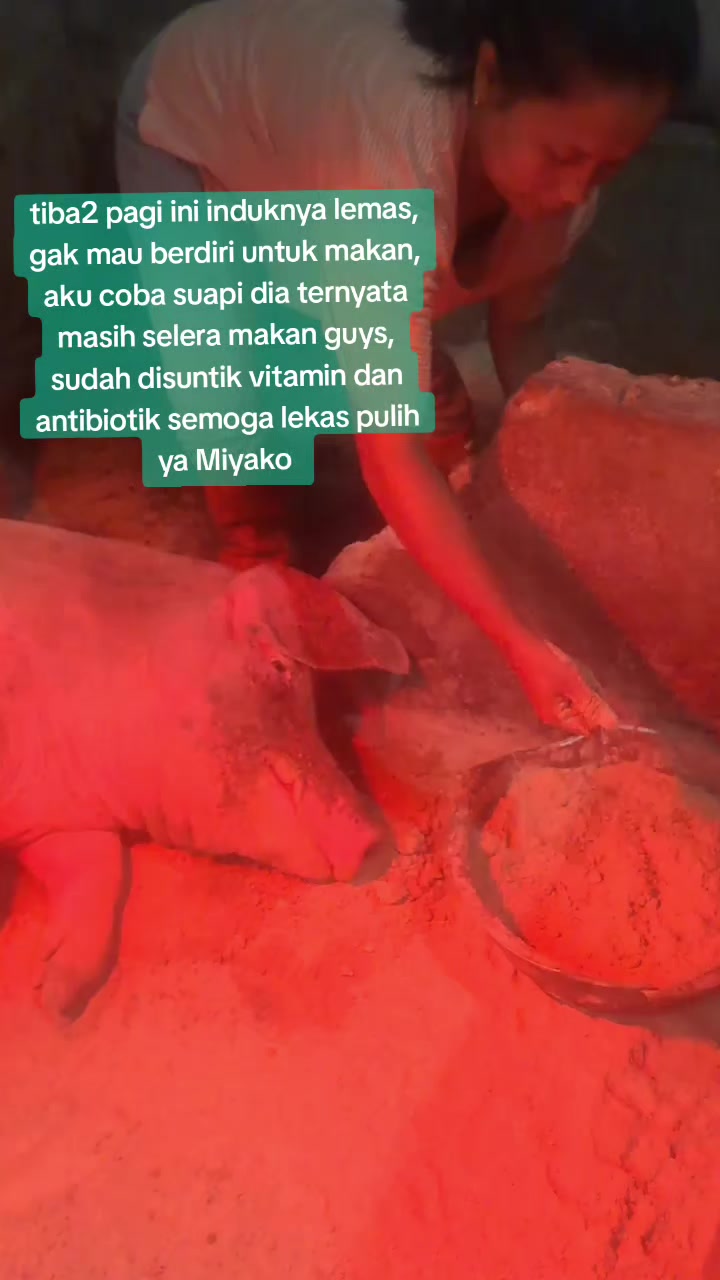 @mama Brigita