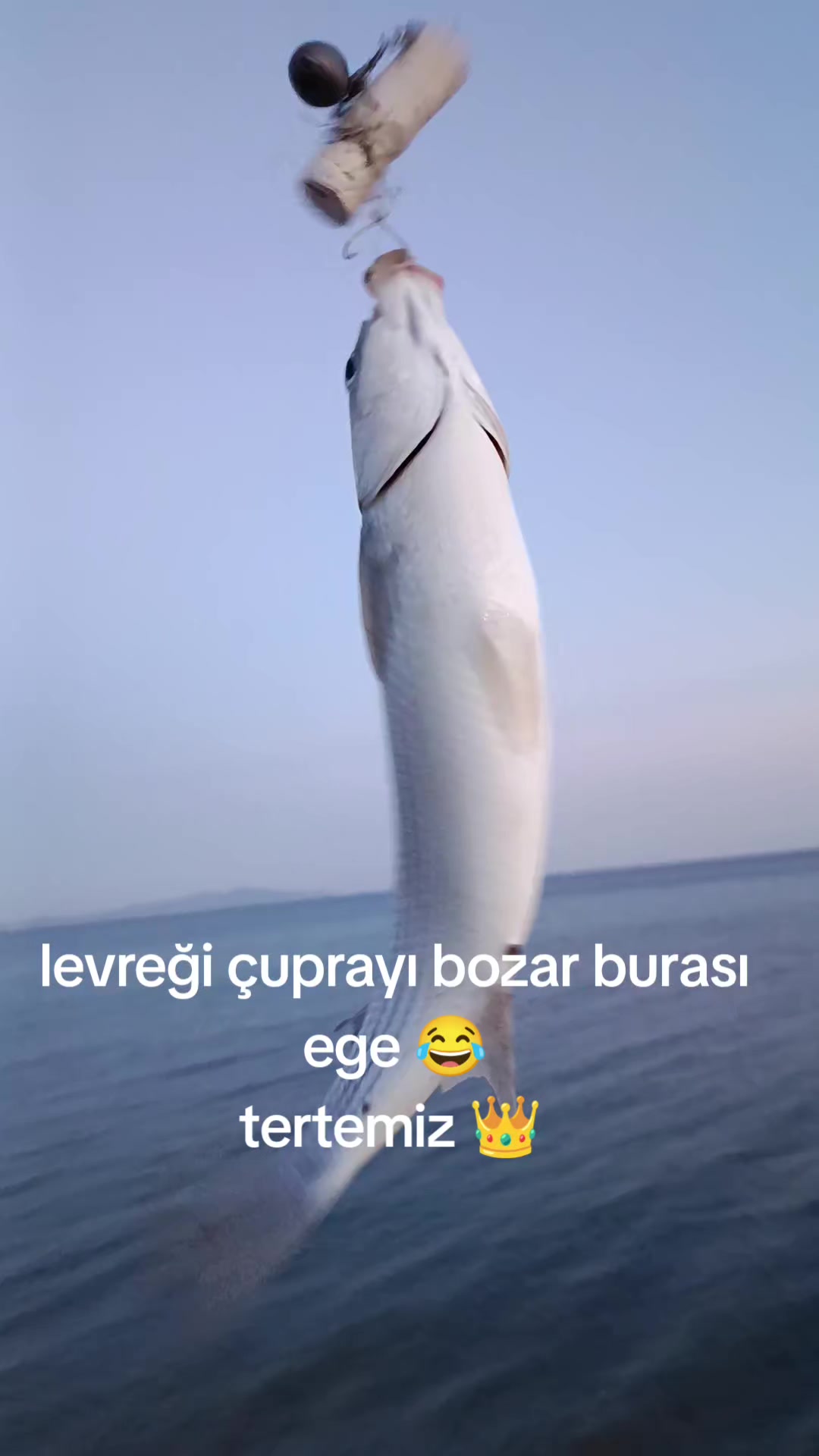 @🤦