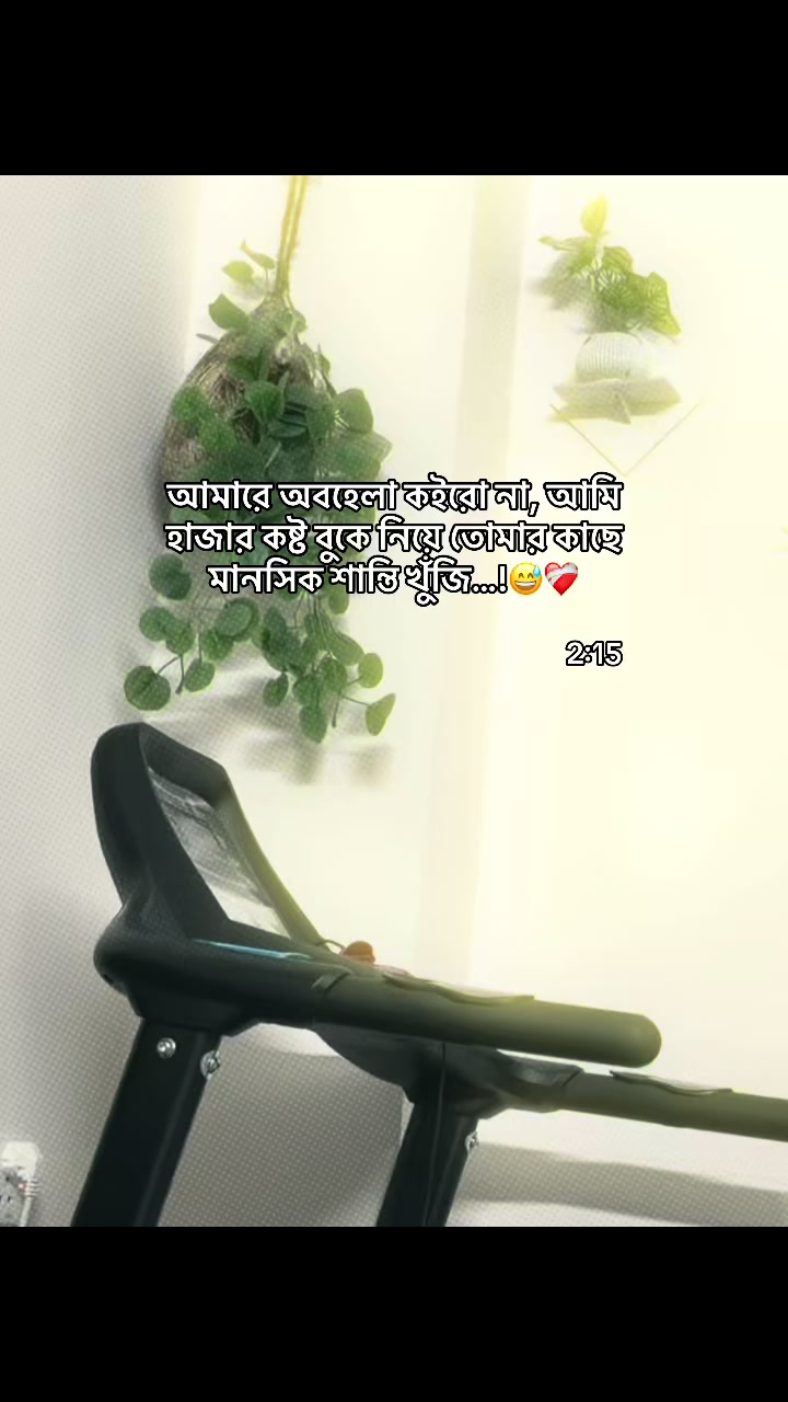 @Safa