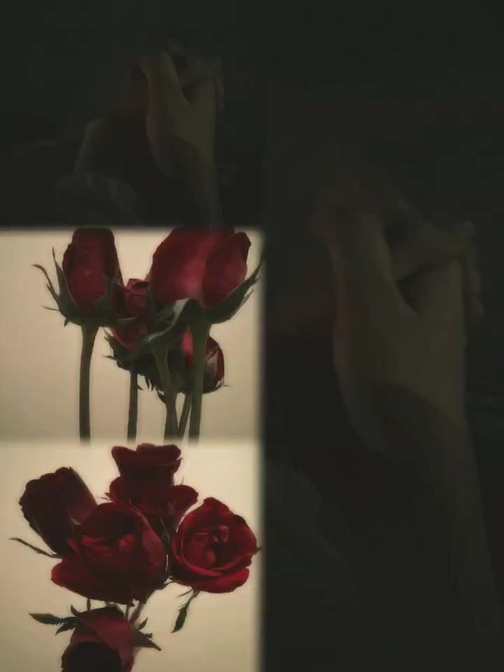 @e l i