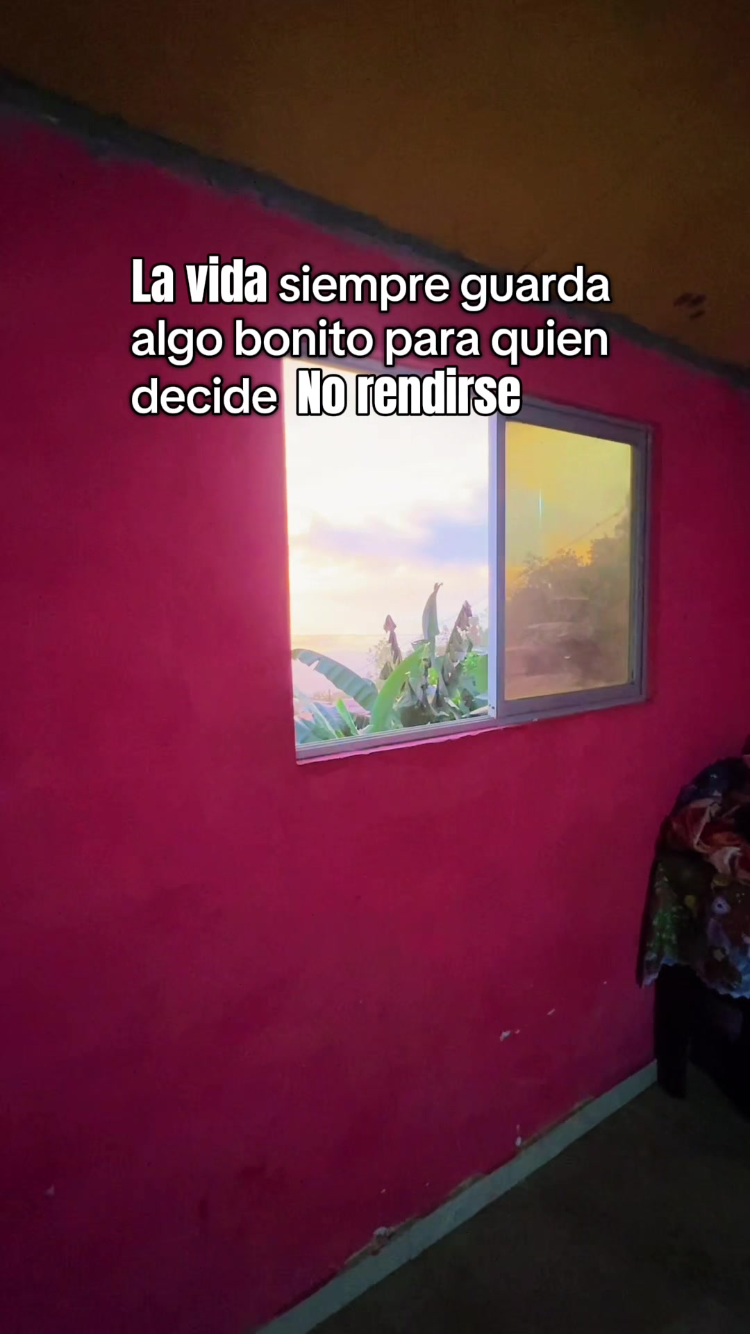@Flakito