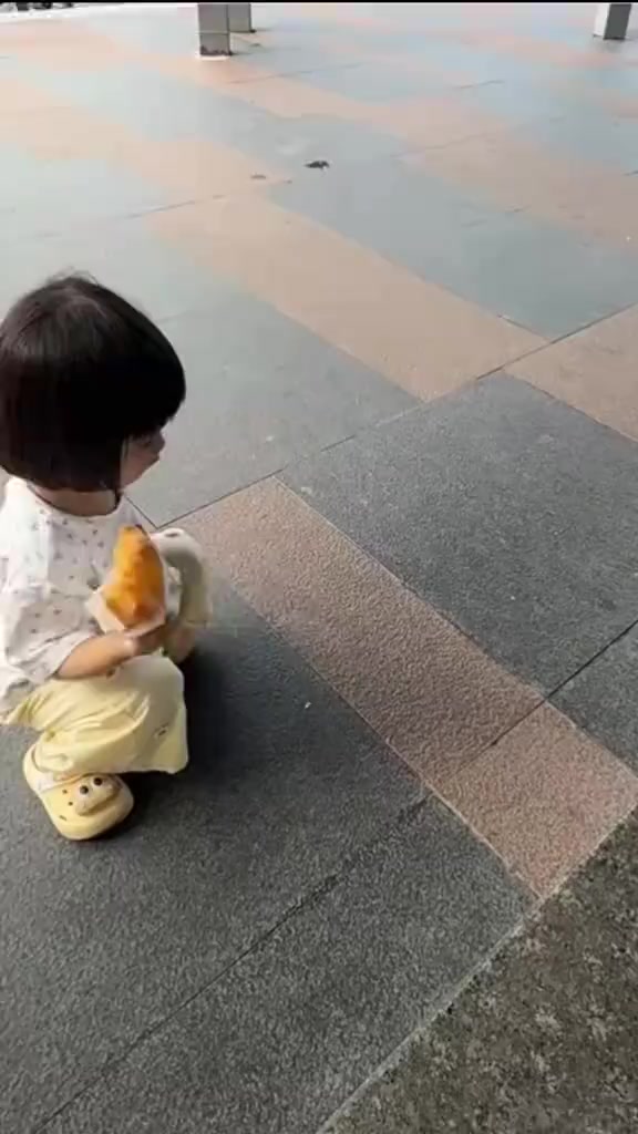 @法  務  部  矯  歪  署