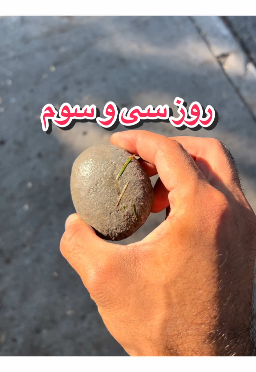 @قلی | یه حیوون خونگی متفاوت