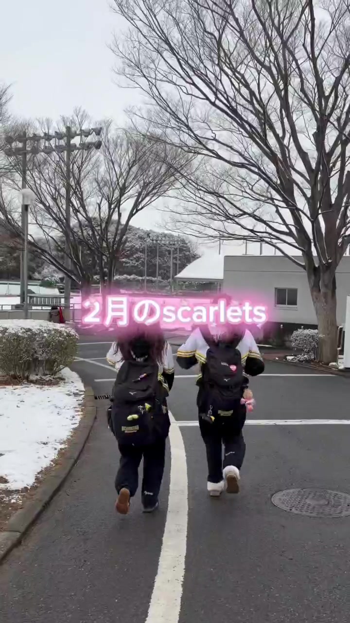 @明治学院大学チアリーディング部SCARLETS