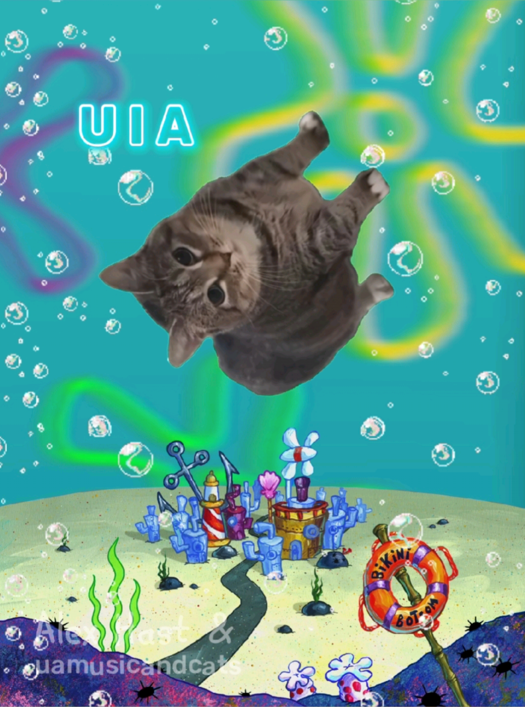 @🎧 музика і котики 🐱