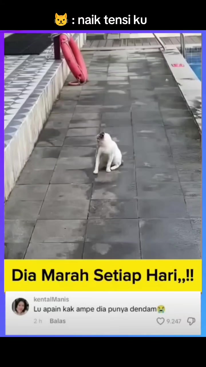 @Kiki