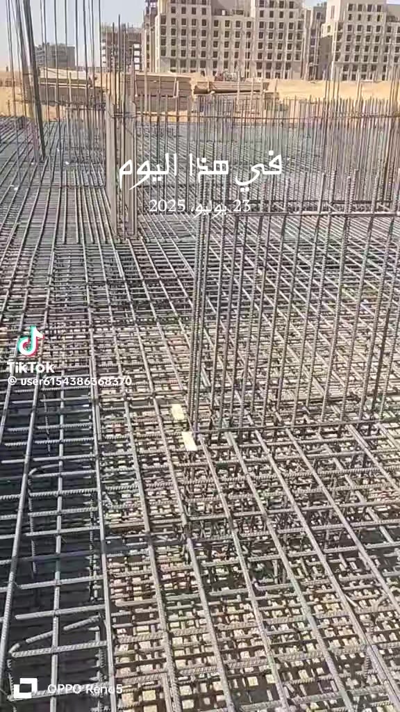 @ممدوح الدشناوي