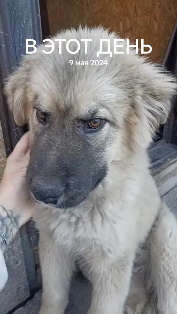 @Виктория