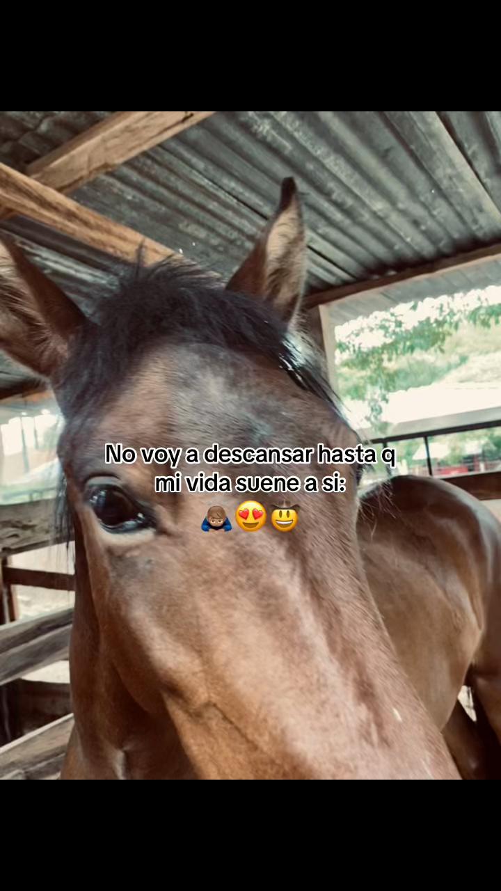 @GUTIÉRREZ_🔞