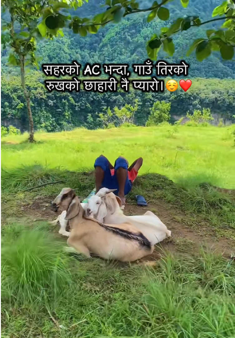 @ganeshexplore