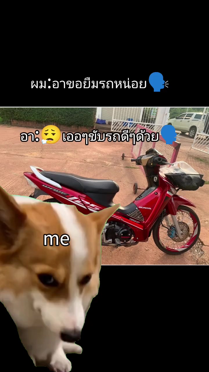 @†«𝓶𝓾𝓻𝓪𝓼𝓪𝓴𝓲»†