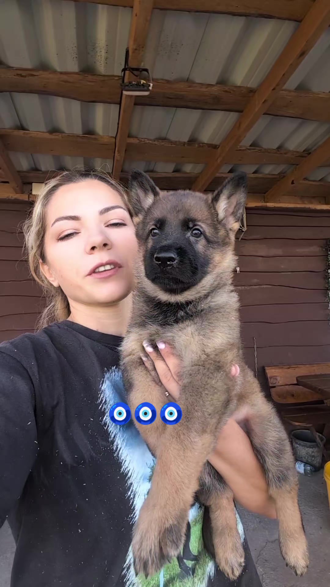 @вівчарки "Wolf'sfelzem"