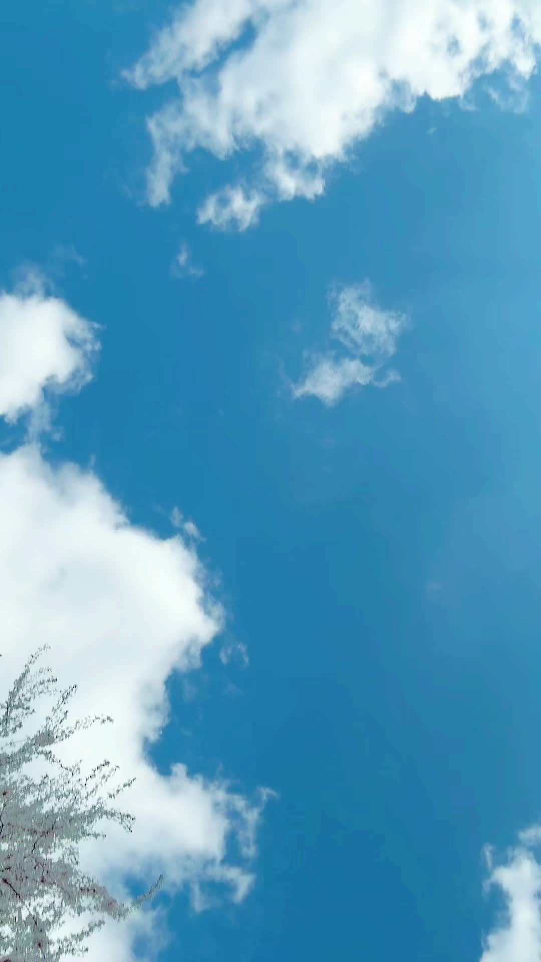 @ཀོ .ـمرٰ؏. ཀོ
