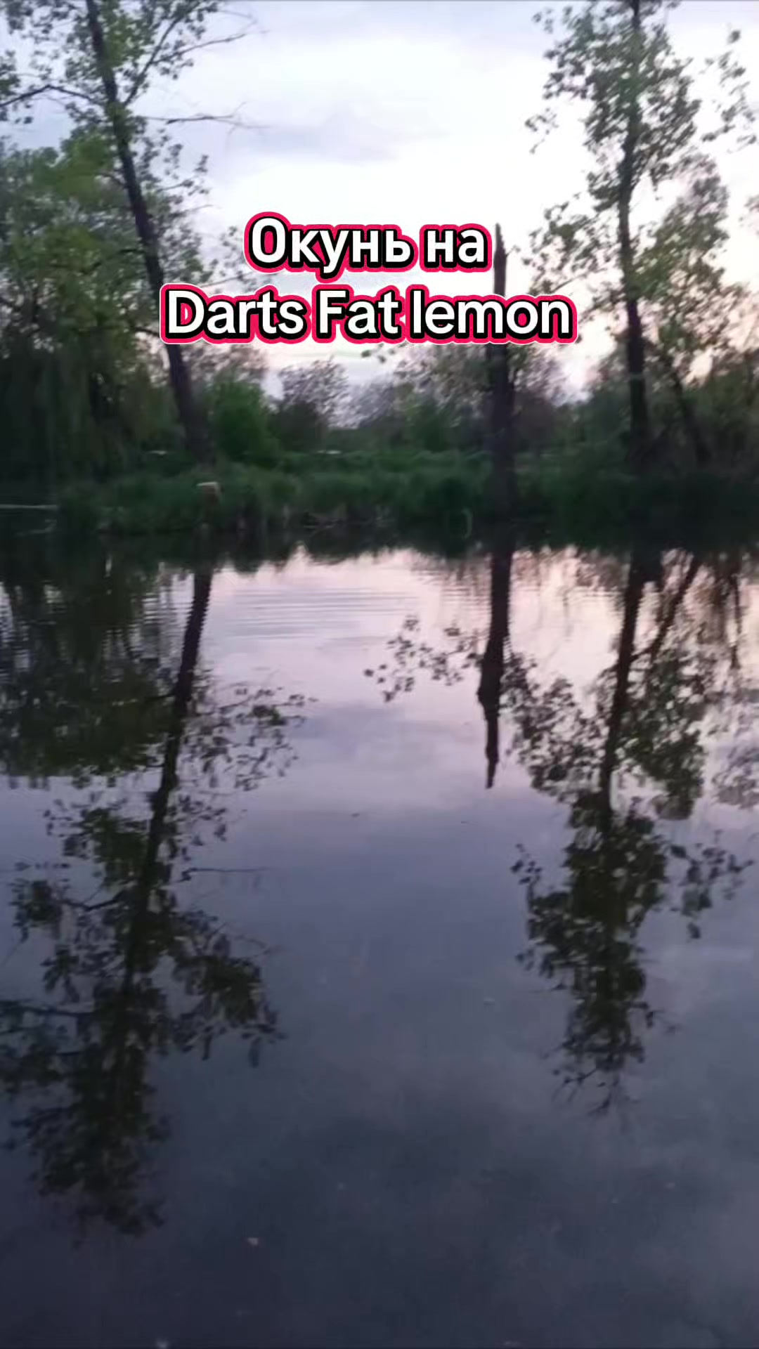 @🇺🇦🅁🄸🄱🄰🄲🄷🄺🄰𓆟🄸🅁🄰