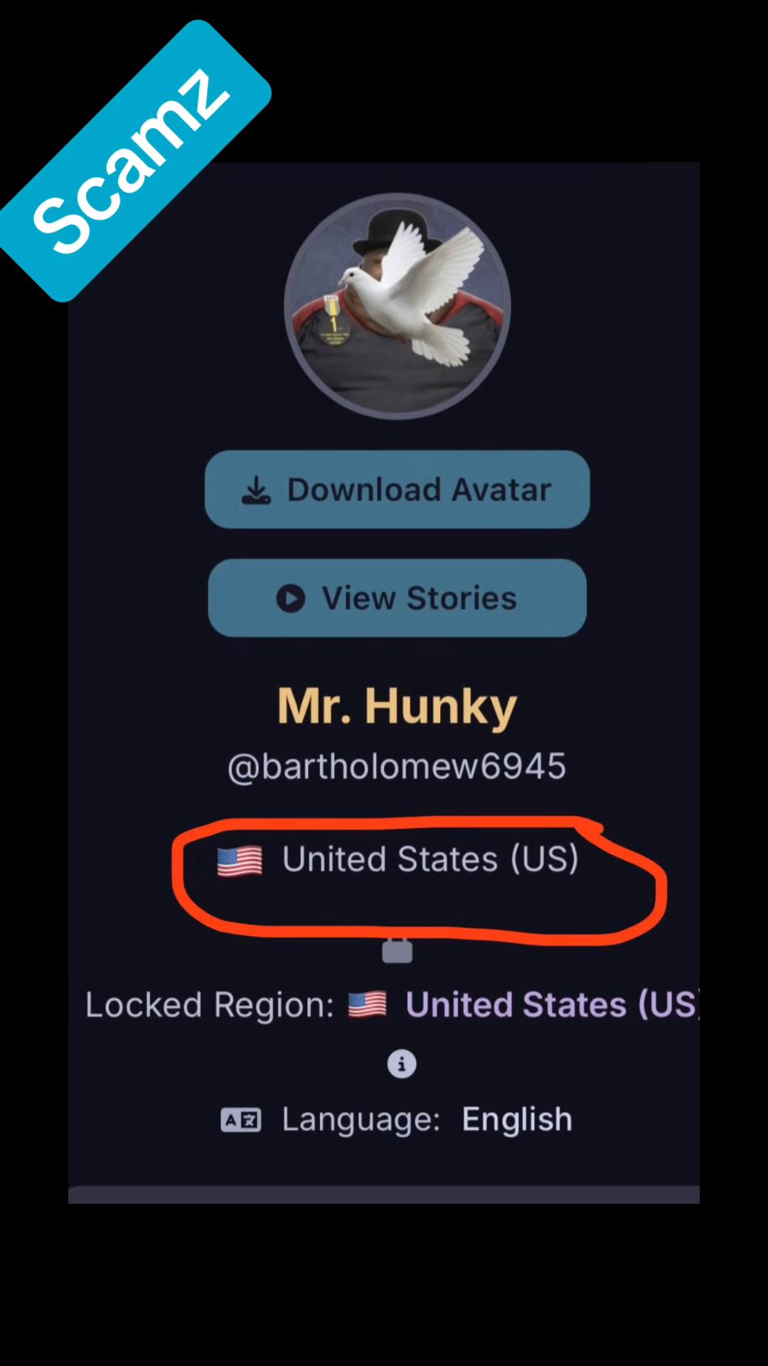 @Scambaiter