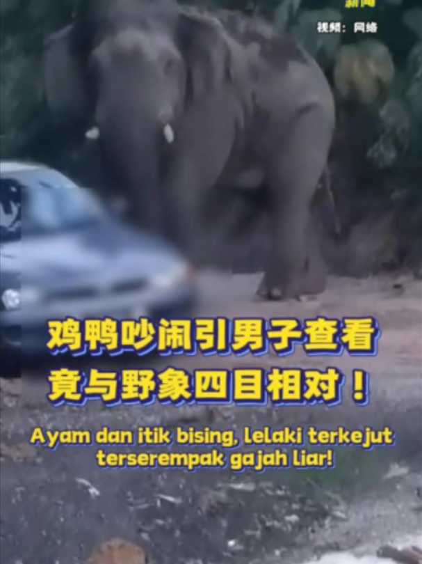 @中国报