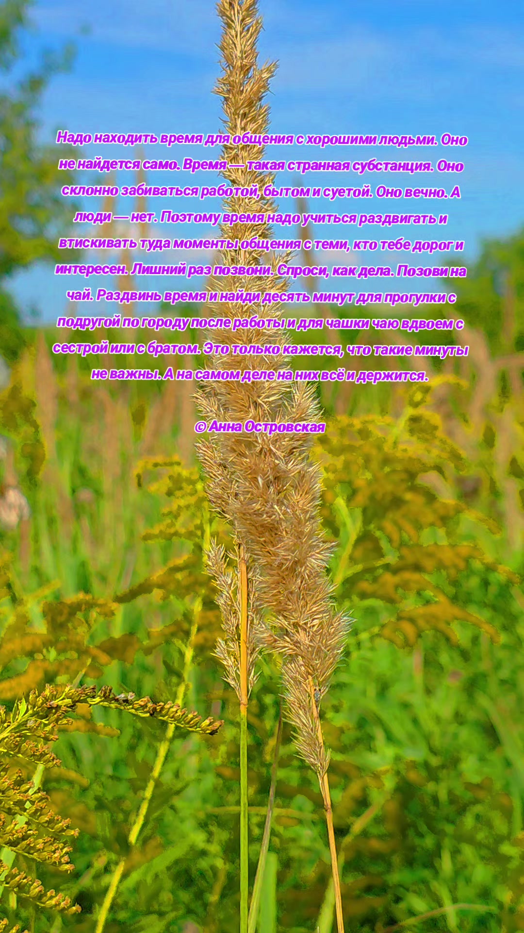 @Яркое Лето