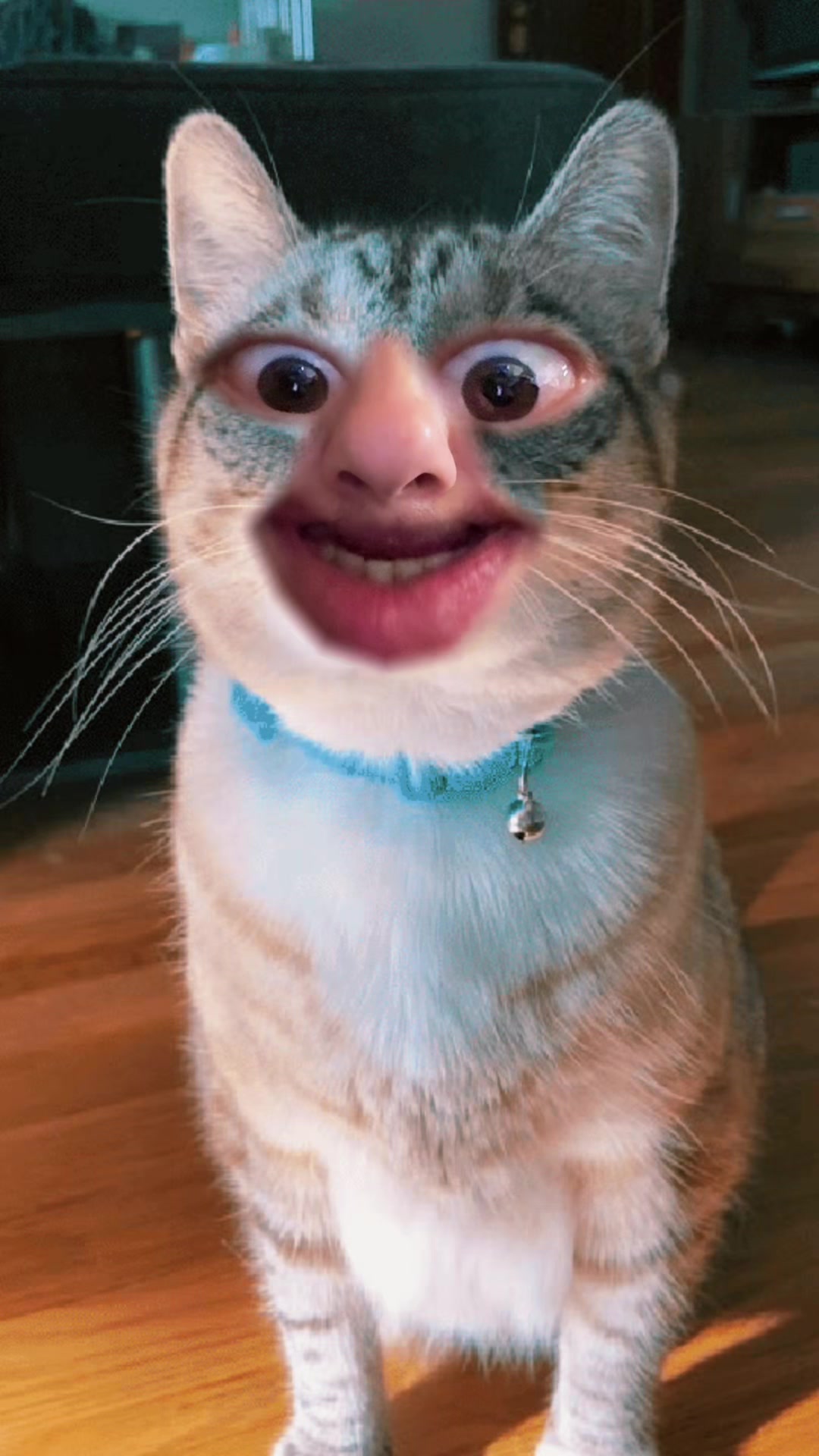 @سيناريو سريع😹