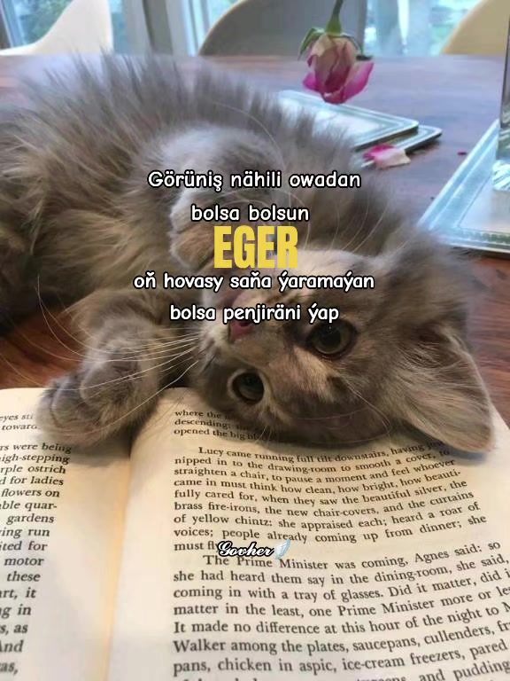 @𝓖𝓸𝓿𝓱𝓮𝓻🪽