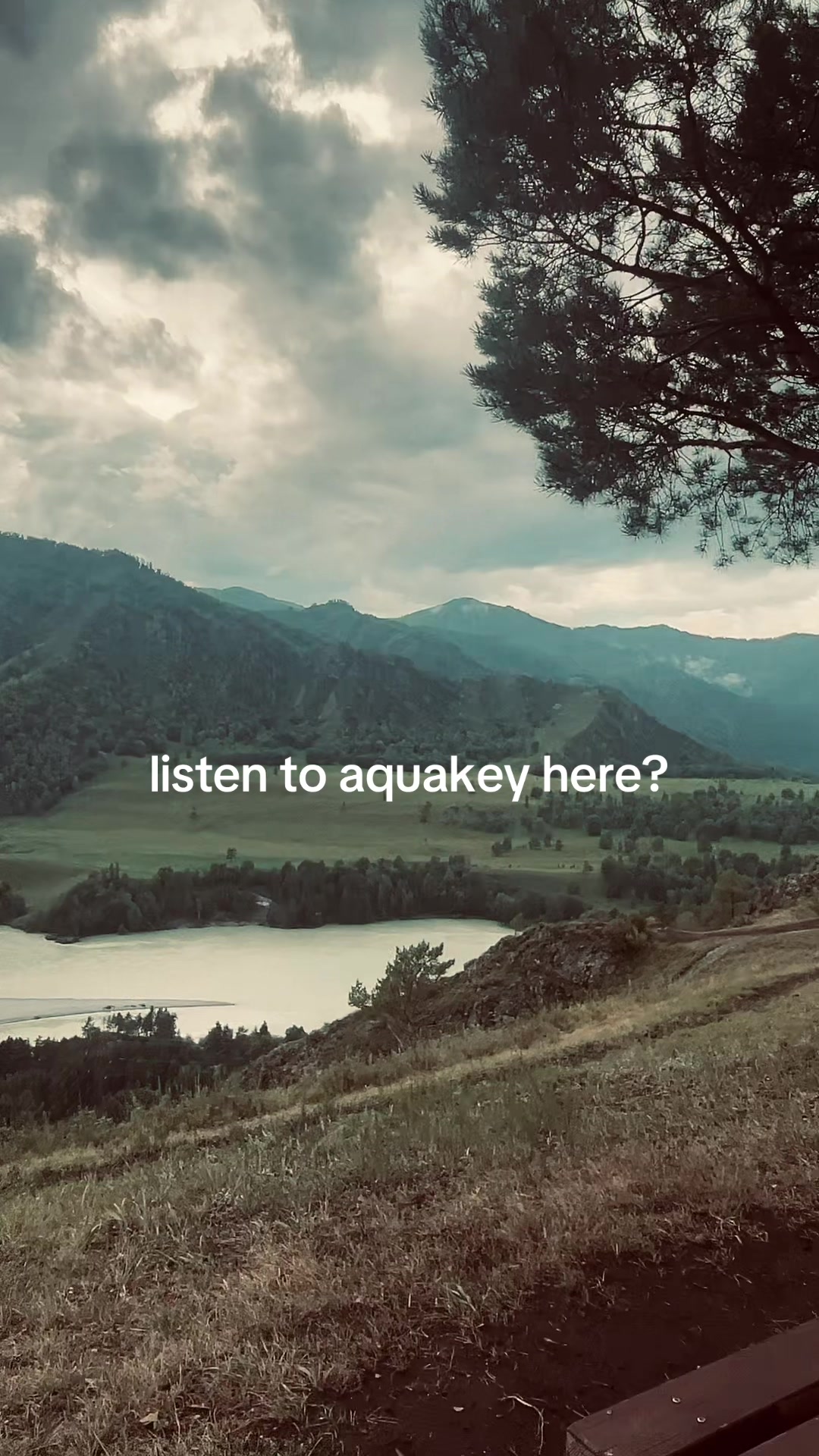 @aquakgg