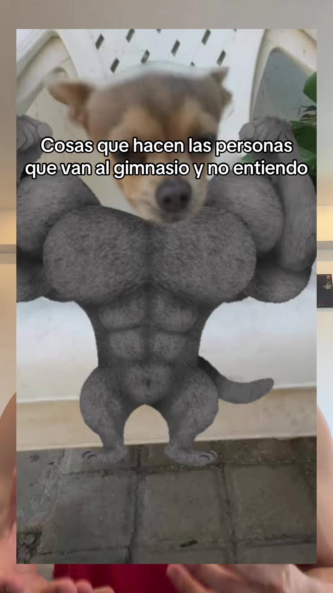 @Yaniv