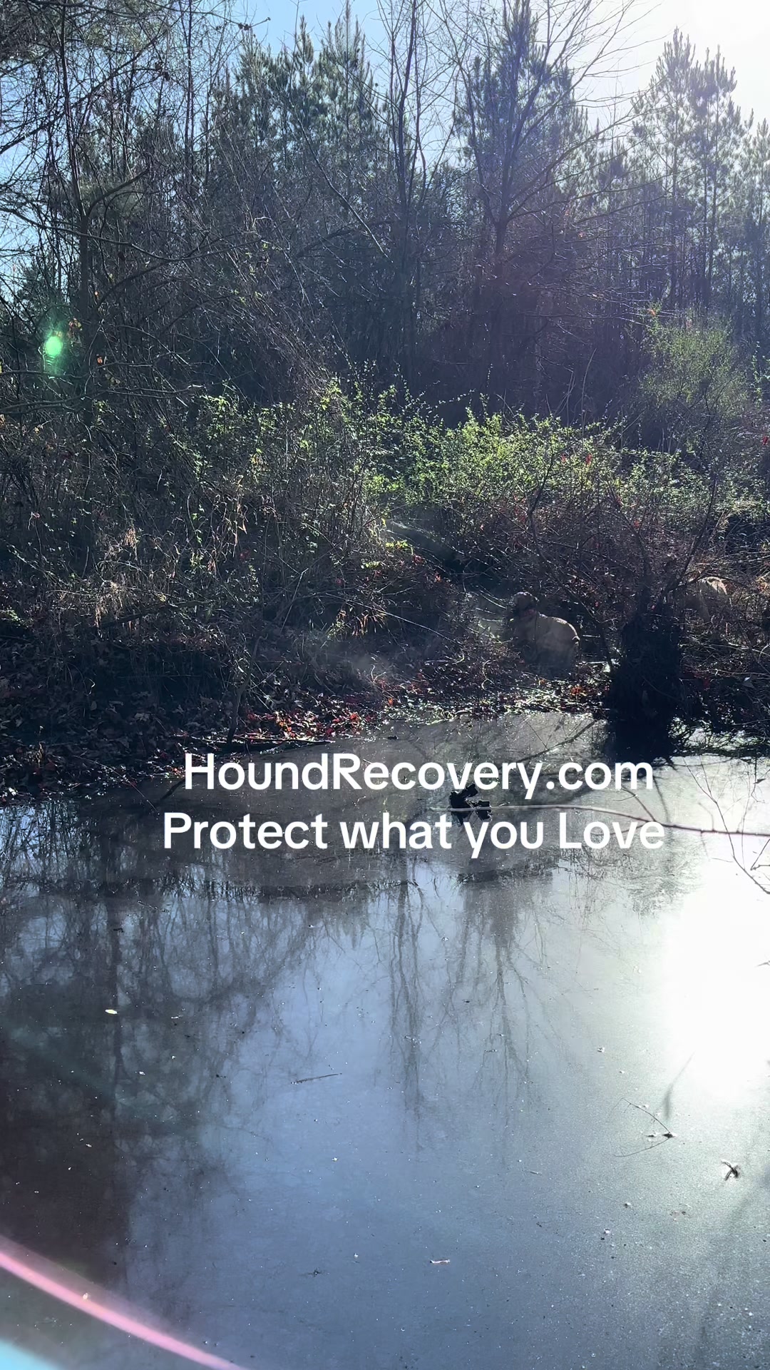 @Wade Holdcraft-Hound Recovery