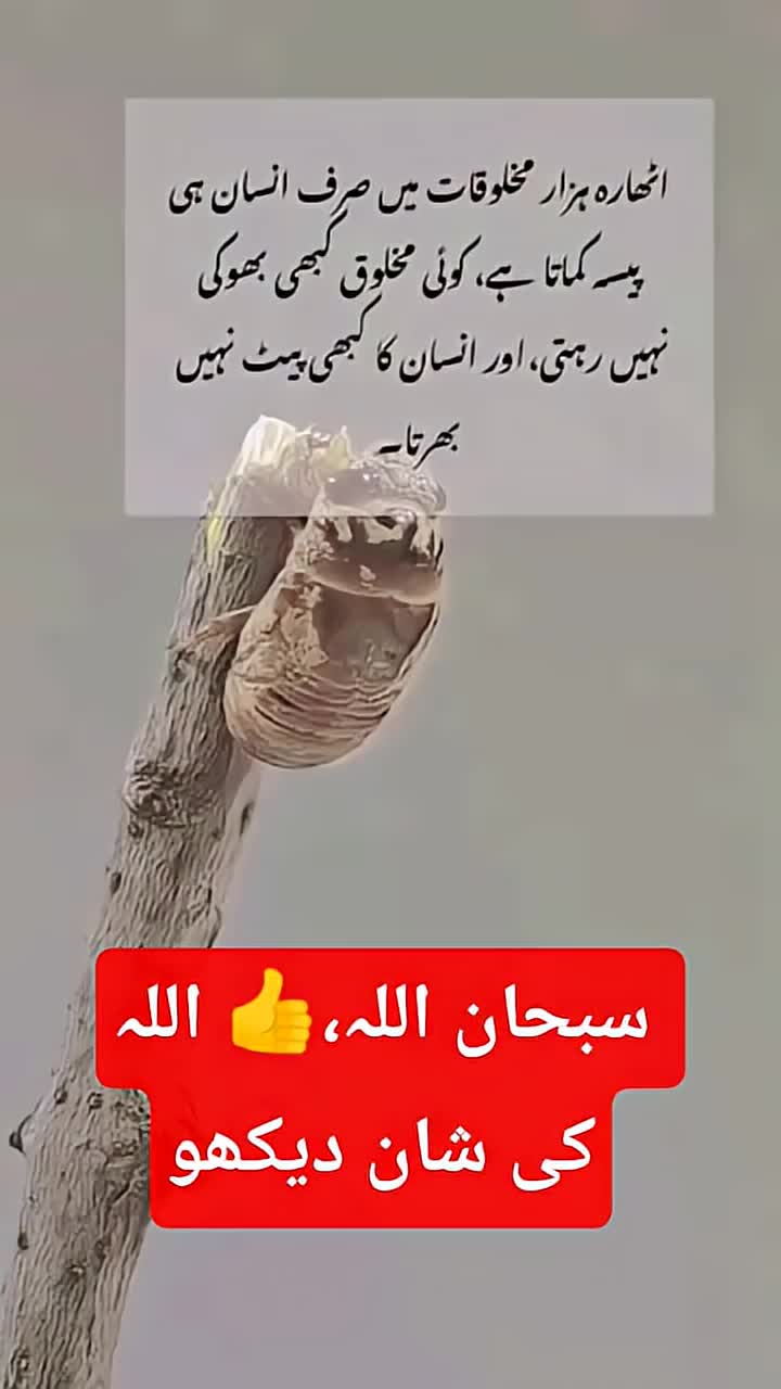 @❤️ Aamir Khakwani 💧خاکوانی
