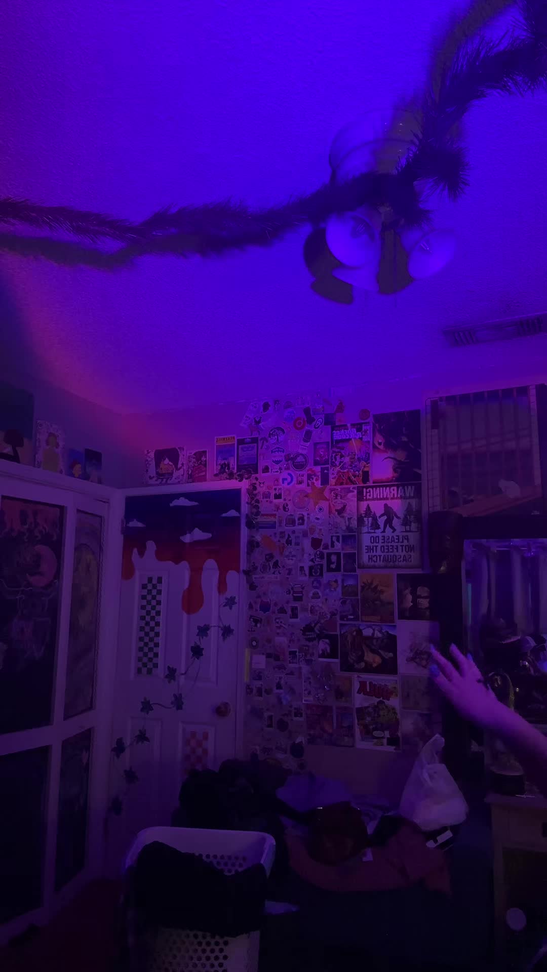 @Sophia🪴❗️