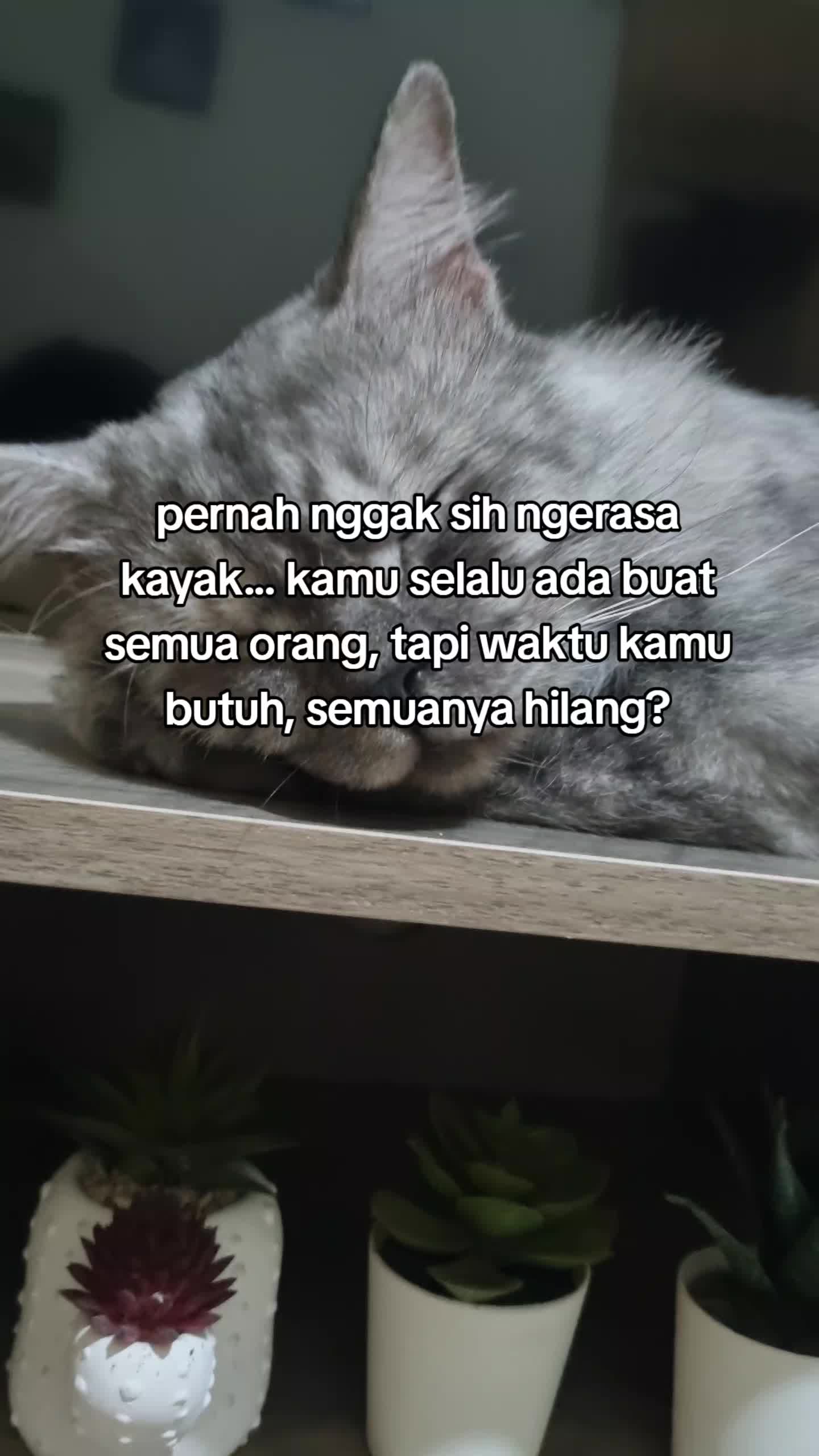 @wariii