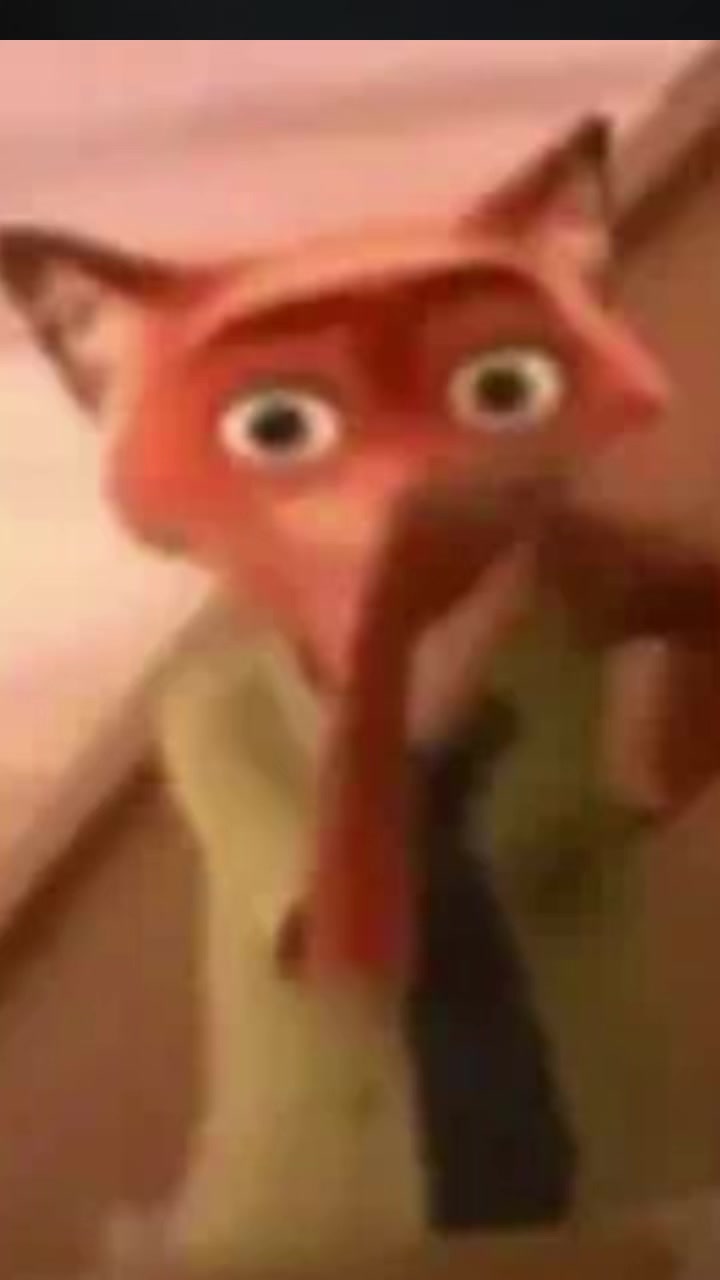 @Hasly