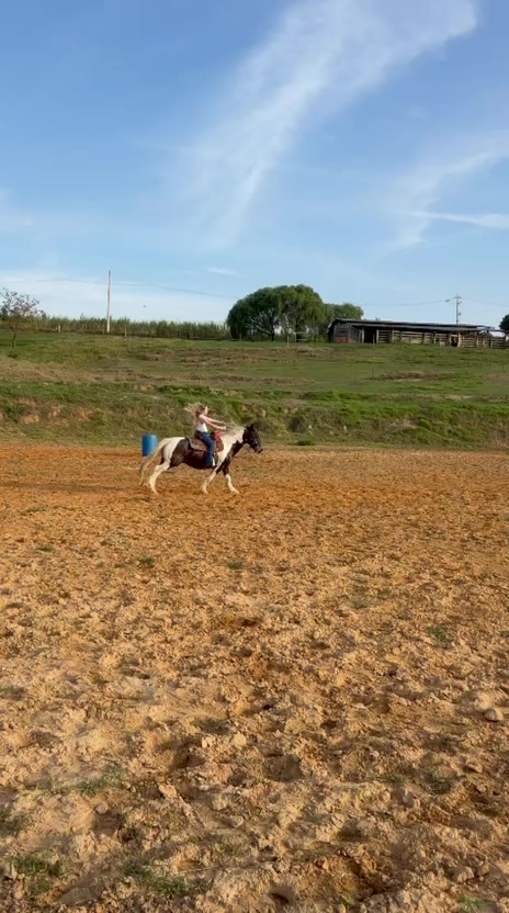 @Thor & cookie🐴🐰