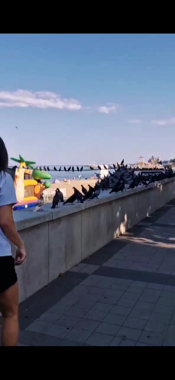 @katerina.kolyada