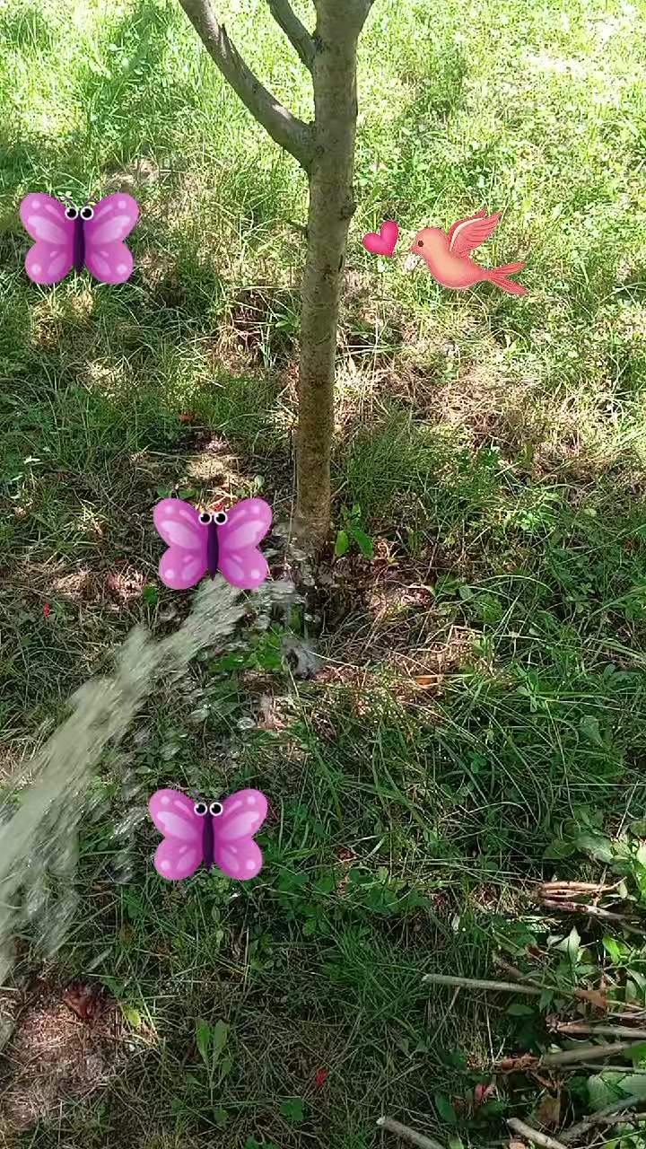 @samir 061