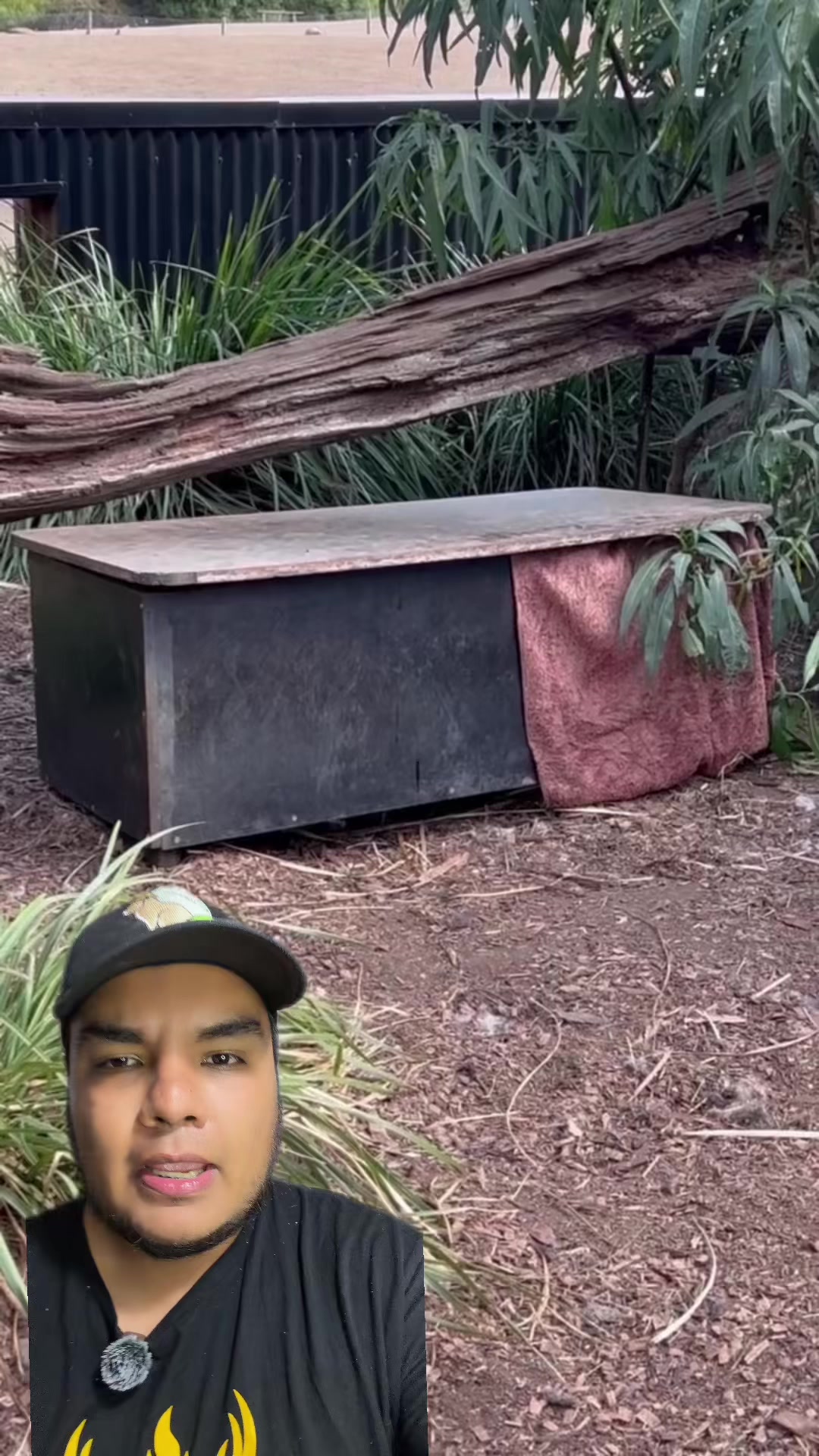 @Jair Herrera 🐆
