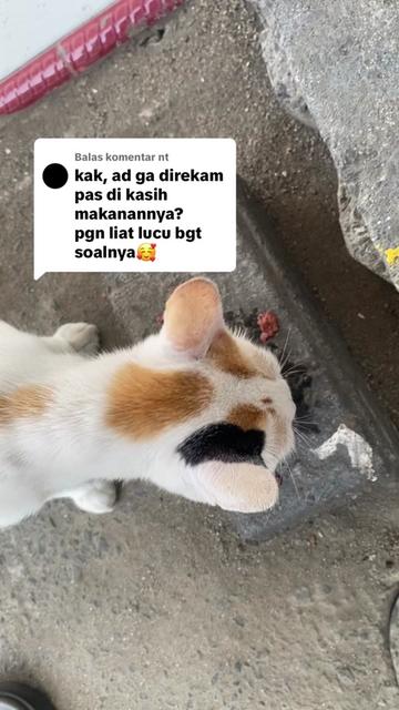 @T i m m y