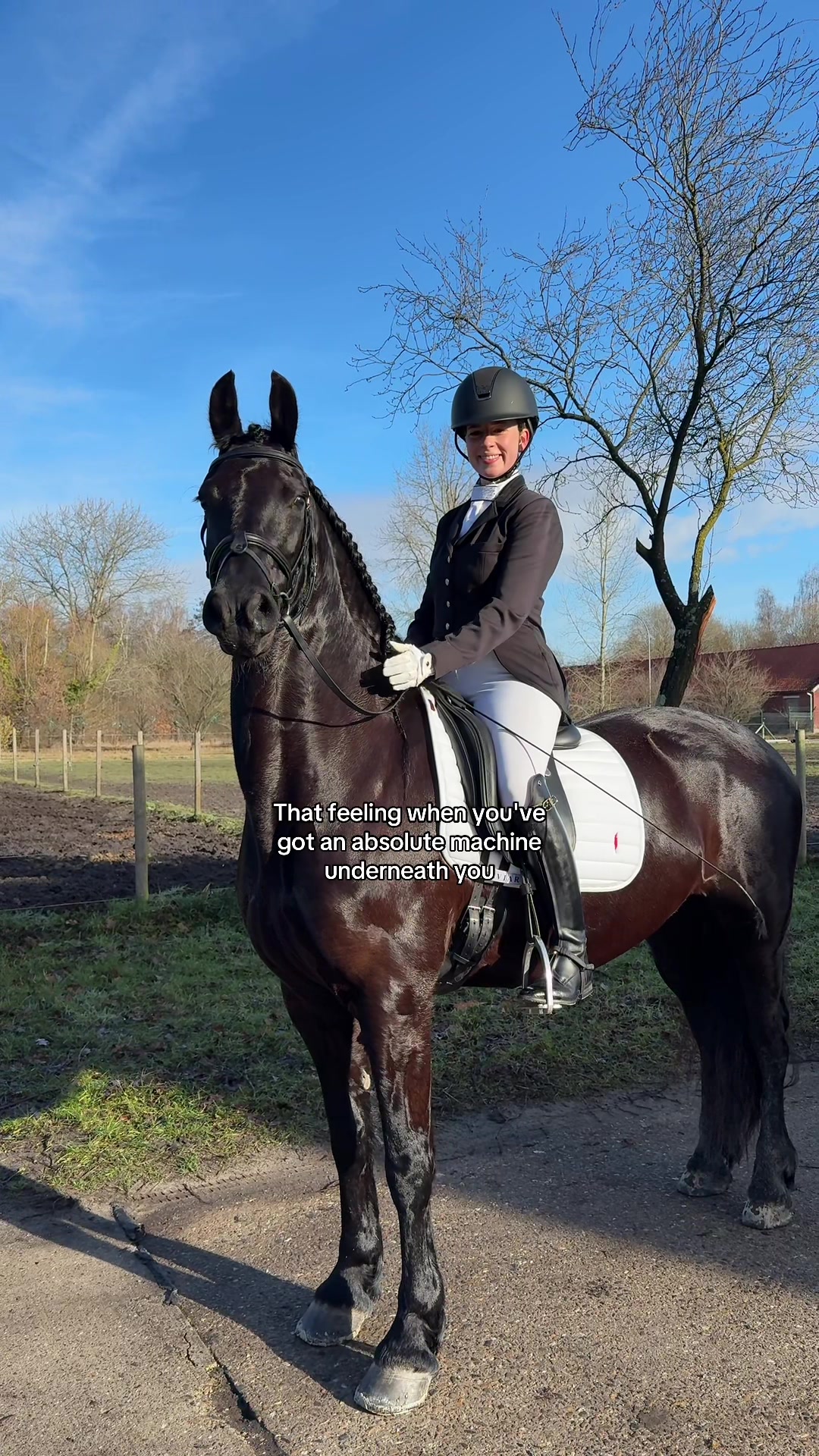 @Phoebe Tack Dressage